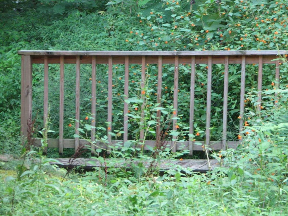 Cozy Creek Cabin Pigeon Forge Exterior foto